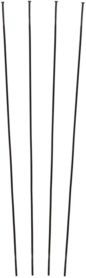 Campagnolo® Zonda C17 Ersatzspeichen Ab Modell 2016 3 Campagnolo® Zonda C17 Ersatzspeichen Ab Modell 2016